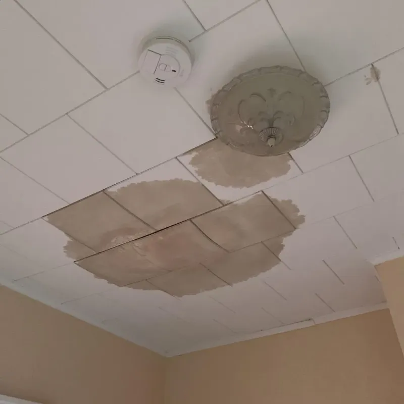 Ceiling Water Damage Repair in West Haven, CT
