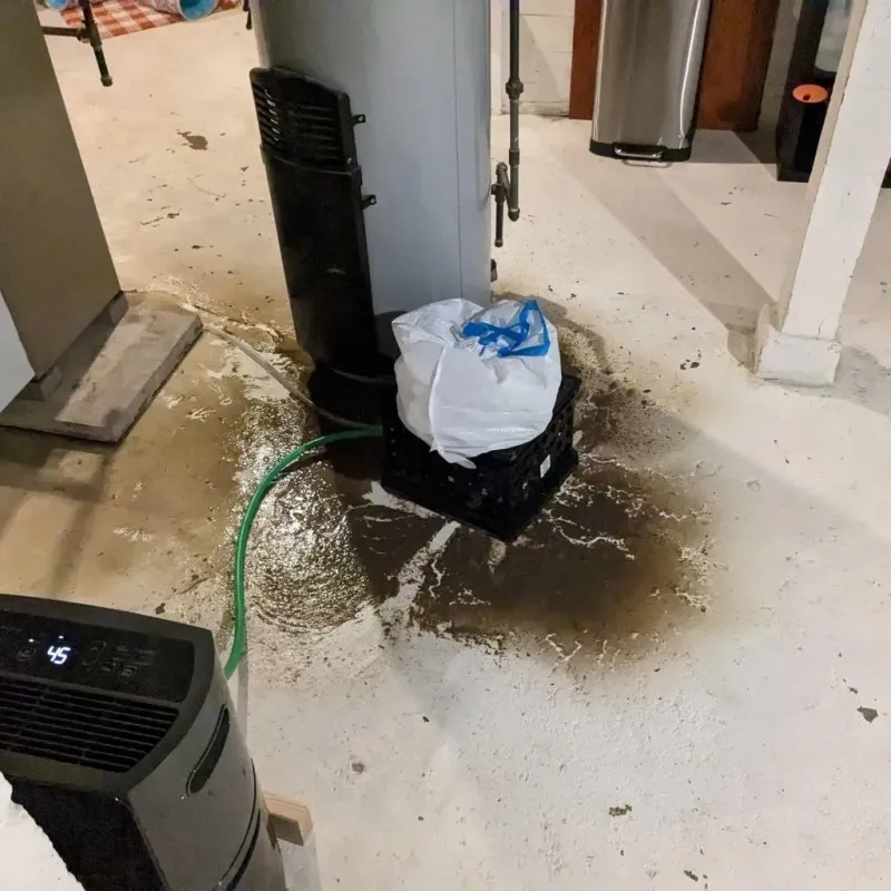 Sewage Backup Cleanup Service in West Haven, CT